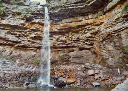 Hardraw Force